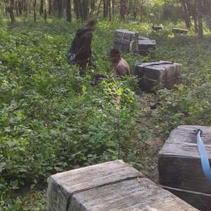 Focuri de arma şi trei contrabandişti reţinuţi, la frontiera cu Ucraina