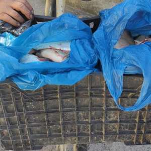 A pecuit un dosar penal