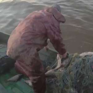 Cetățean român prins în flagrant cu 300 metri de plase neautorizate si 30 kg de pește, de polițiștii de frontieră tulceni