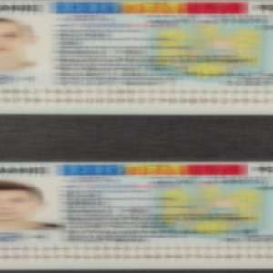 Două documente de identitate false oprite din drumul către Belgia