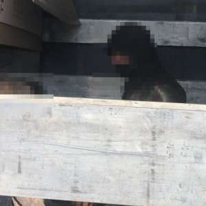 Cetăţeni din Bangladesh, Siria şi Afganistan, depistați la P.T.F. Borș II și Salonta