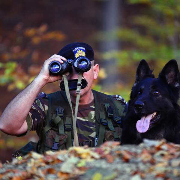 420 de posturi vacante scoase la concurs, prin încadrare directă,  la nivelul Poliției de Frontieră Române