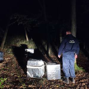 Peste 6.000 de pachete de țigări de contrabandă, descoperite de polițiștii de frontieră botoșăneni