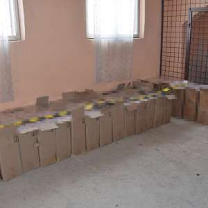 Peste 43.000 pachete țigări, în valoare de 100.000 de euro, confiscate la frontiera de nord a României