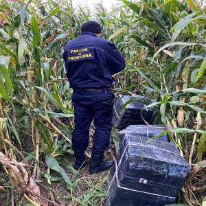 Aproximativ 10.000 pachete țigări confiscate la graniţa cu Ucraina