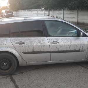 Hoți-braconieri puși paznici la porumb și la căpriori, prinși de polițiștii de frontieră