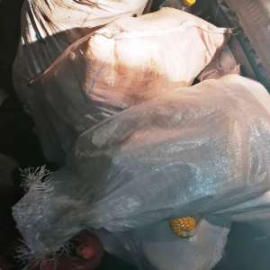 Hoți-braconieri puși paznici la porumb și la căpriori, prinși de polițiștii de frontieră