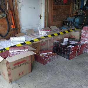 În ultimele 24 de ore, polițiștii de frontieră suceveni au confiscat aproximativ 14.000 pachete țigări provenite din contrabandă
