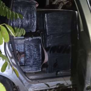 Punct de vedere - Eveniment SPF Romanești