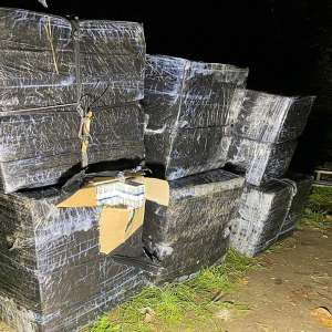 Aproximativ 22.000 pachete cu țigări confiscate la frontiera de nord