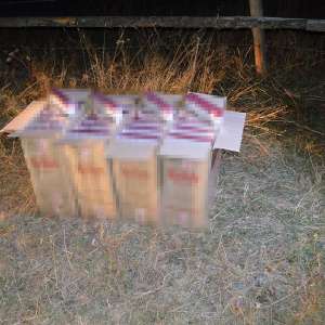 Ţigări de contrabandă în valoare de aproximativ 23.500 lei confiscate la frontiera de nord