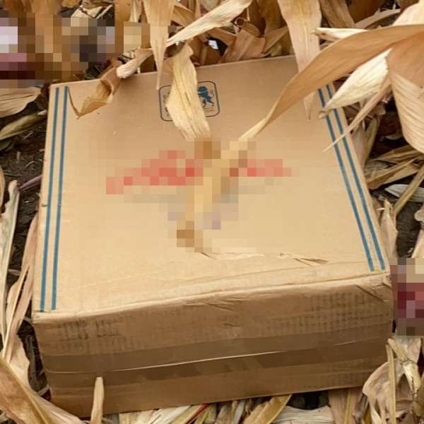 Contrabandist reţinut de către poliţiştii de frontieră în timp ce îşi abandona baxurile cu țigări în lanul de porumb
