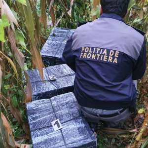 Ţigări de contrabandă în valoare de aproximativ 408.000 lei confiscate la frontiera de nord