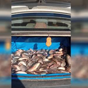 Activități de braconaj piscicol, combătute de polițiștii de frontieră