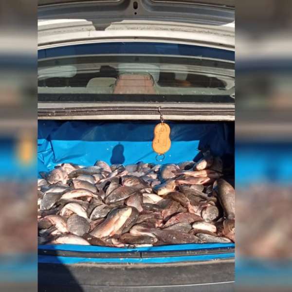 Activități de braconaj piscicol, combătute de polițiștii de frontieră