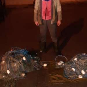 Braconaj piscicol în zona Rezervației Biosferei Delta Dunării