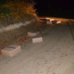 Aproximativ 9.000 pachete cu țigări de contrabandă confiscate  la frontiera de nord a României