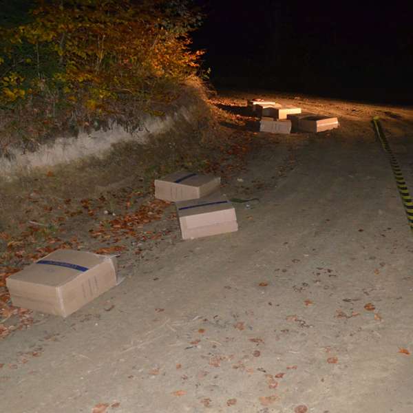 Aproximativ 9.000 pachete cu țigări de contrabandă confiscate la frontiera de nord a României