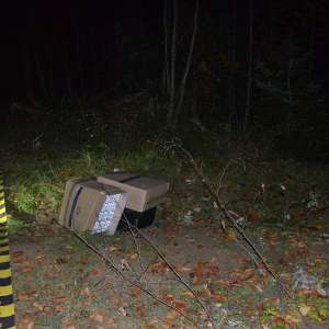 Aproximativ 9.000 pachete cu țigări de contrabandă confiscate  la frontiera de nord a României