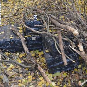 Un cetăţean român cercetat pentru contrabandă  și peste 26.000  pachete cu țigări confiscate la frontiera de nord