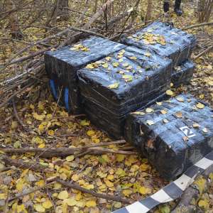 Un cetăţean român cercetat pentru contrabandă  și peste 26.000  pachete cu țigări confiscate la frontiera de nord