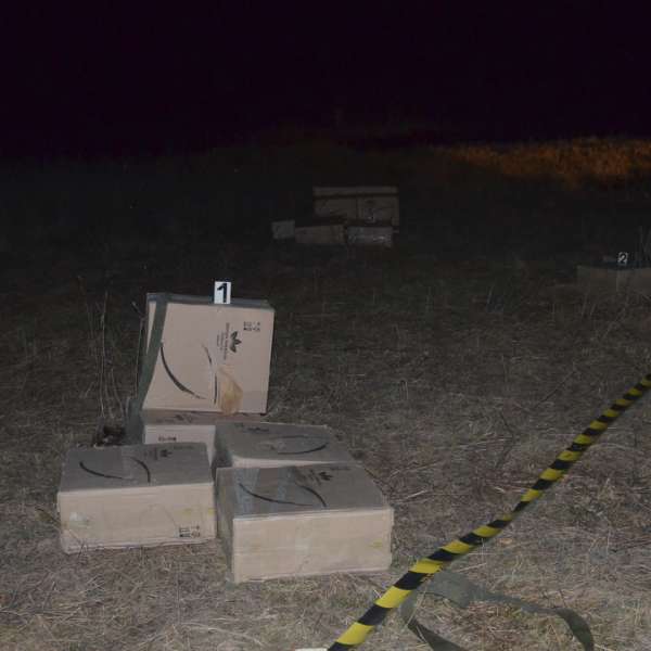 15.000 pachete cu țigări confiscate la frontiera de nord a României