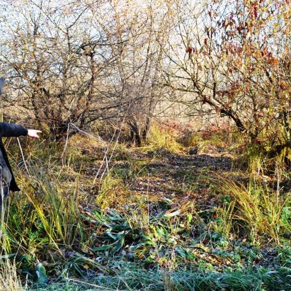 A forţat intrarea în România pentru un loc de muncă