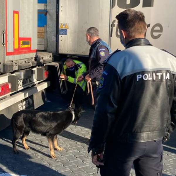 Peste 70 de cetățeni străini depistați în urma unei acțiuni pentru prevenirea migraţiei ilegale