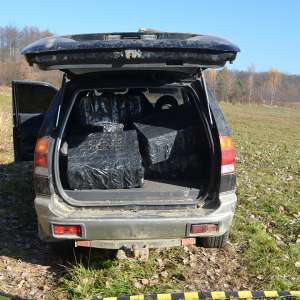 Peste 6.500 pachete cu țigări de contrabandă confiscate la frontiera de nord a României