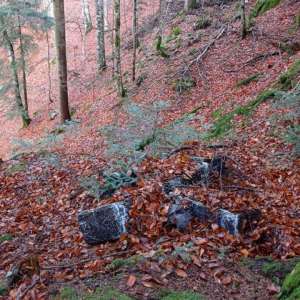 Țigări în valoare de peste 108.000 lei confiscate la frontiera cu Ucraina