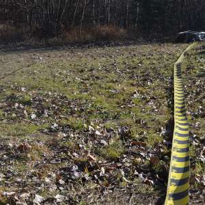 Țigări în valoare de 67.000 lei confiscate la frontiera cu Ucraina