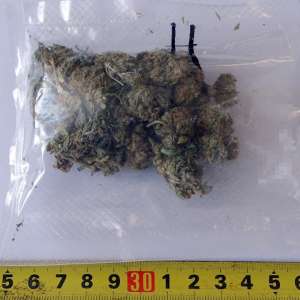 Parfumuri contrafăcute și 20 de grame de substanță vegetală  descoperite în P.T.F. Calafat