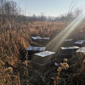 Peste 33.000 pachete țigări confiscate  la frontiera de nord a României