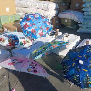 Produse accizabile introduse în țara prin folosirea de acte nereale si bunuri susceptibile de a fi contrafacute depistate in portul Constanța Sud Agigea