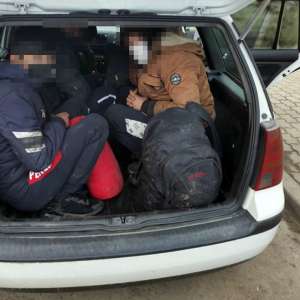 Şase afgani, sprijiniţi de un cetățean român, depistaţi la graniţa cu Serbia