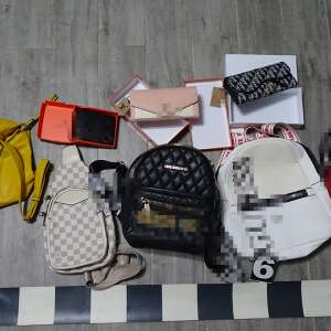 Articole vestimentare contrafăcute, descoperite în urma unei percheziții domiciliare efectuate în județul Olt