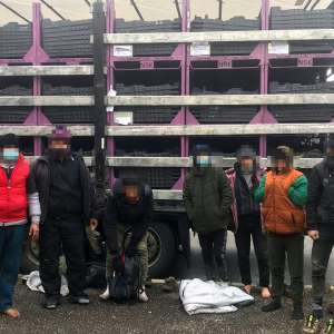 25 de cetăţeni din India şi Afganistan depistaţi de poliţiştii de frontieră arădeni