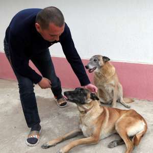 O zi - O zi din viața unei echipe K9