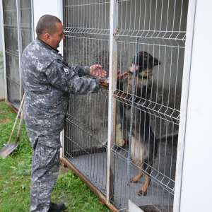 O zi - O zi din viața unei echipe K9