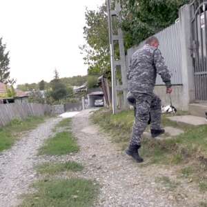 O zi - O zi din viața unei echipe K9