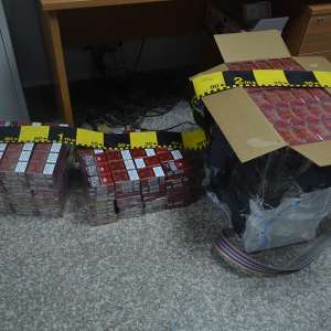 Doi cetățeni ucraineni cercetați pentru contrabandă și țigări în valoare de 52.700 lei confiscate la frontiera de nord