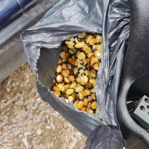 Peste 27 kg de chihlimbar ascunse în roata de rezervă, în portierele şi în bordul unui autoturism al unui cetăţean turc