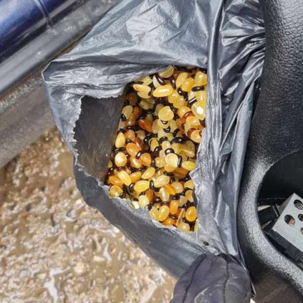 Peste 27 kg de chihlimbar ascunse în roata de rezervă, în portierele şi în bordul unui autoturism al unui cetăţean turc