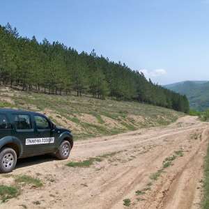 Interviu cu directorul Direcției Generale a Poliției de Frontieră Bulgare, comisar-șef Deyan Mollov