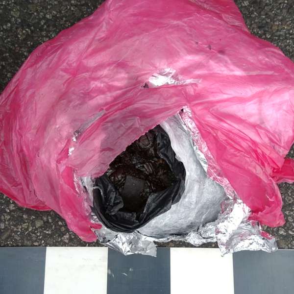 81 kilograme de opiu descoperite ascunse deasupra cabinei unui autocamion, la PTF Calafat