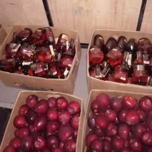 Tânăr contrabandist inventiv