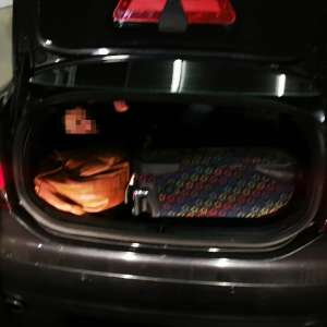 Doi sirieni ascunși în portbagajul unui autoturism, depistaţi la P.T.F. Nădlac II