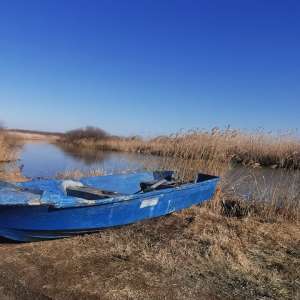 Cetățeni români prinși în timp ce pescuiau ilegal cu plase pe lacul Sinoe