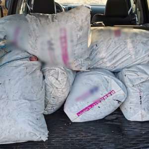 Cetățeni români prinși în timp ce pescuiau ilegal cu plase pe lacul Sinoe