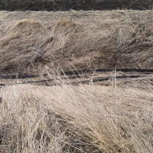 Doi bărbaţi depistaţi în timp ce furau cablu de comunicaţii